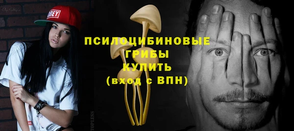 круглые Корсаков