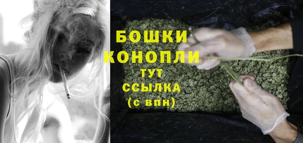 круглые Корсаков