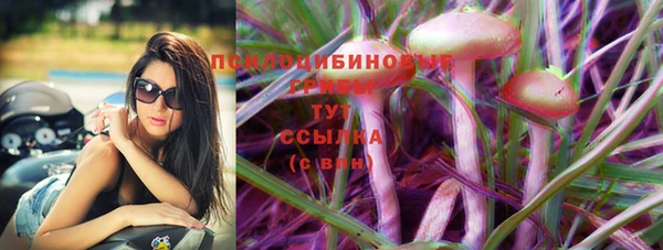 стафф Коряжма